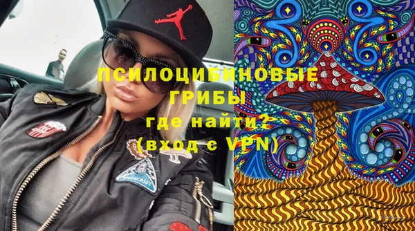 дживик Гусев