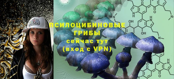 mix Гусиноозёрск