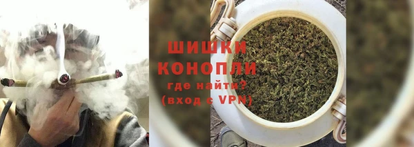 дживик Гусев