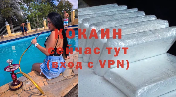 дживик Гусев