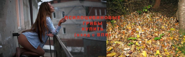дживик Гусев