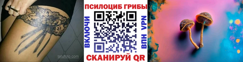 Псилоцибиновые грибы Psilocybe  Купить закладки  Бабаево 